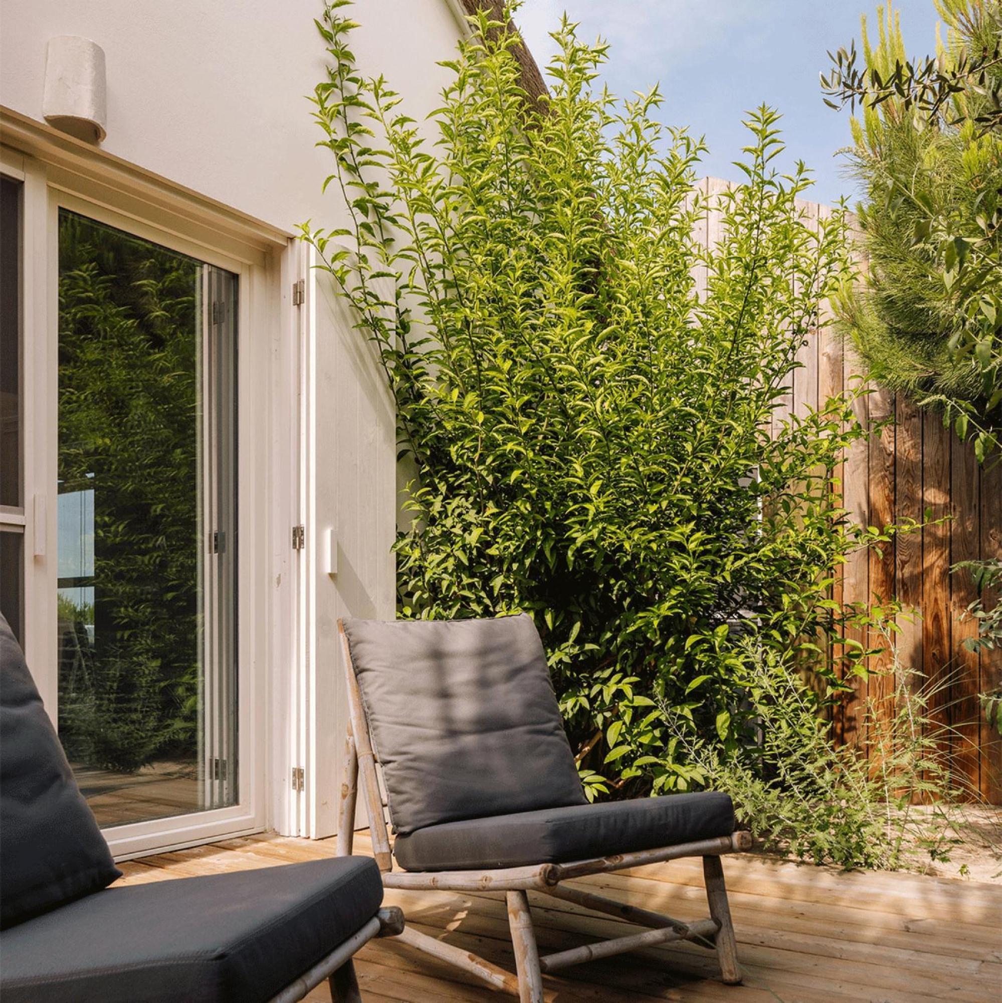 Casas De Arroz Villa Comporta Eksteriør billede
